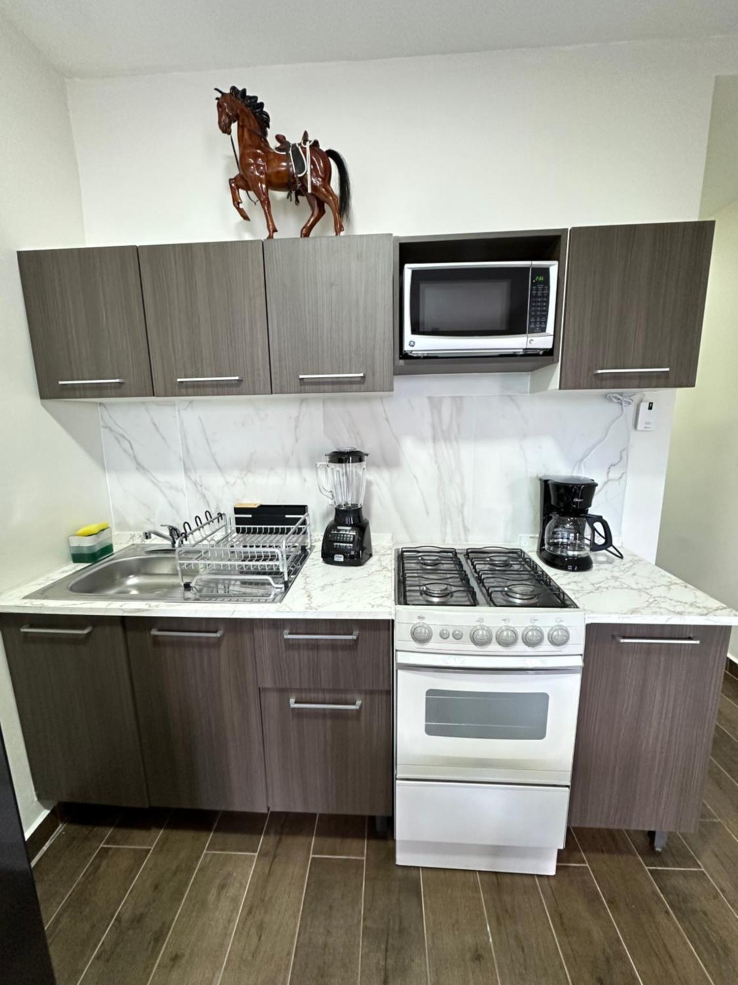 Departamento Roma 1 Cdmx Appartement Mexico-stad Buitenkant foto